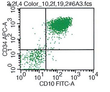 CD34 vs CD10